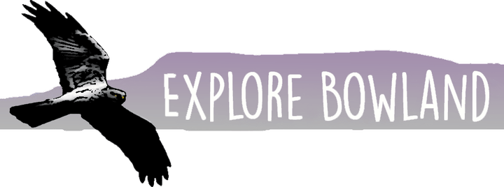 Explore Bowland